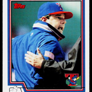 2004 Topps Carlos Tosca #296