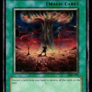 2002 Magic Ruler Final Destiny #MRL-035 HP