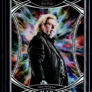 Harry Potter AHP_A | Peter Pettigrew | AHP-A-59 | Near Mint