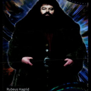 Harry Potter AHP_B | Rubeus Hagrid | AHP-B-06 | Near Mint