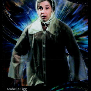 Harry Potter AHP_B | Arabella Figg | AHP-B-48 | Near Mint