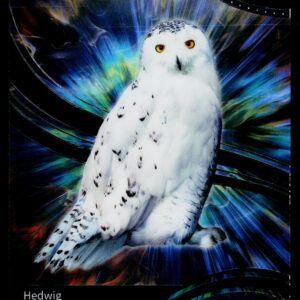Harry Potter AHP_B | Hedwig | AHP-B-55 | Near Mint