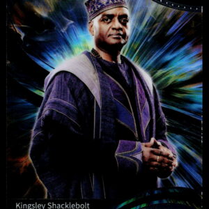 Harry Potter AHP_B | Kingsley Shacklebolt | AHP-B-40 | Near Mint