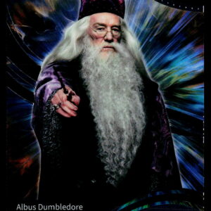 Harry Potter AHP_B | Albus Dumbledore | AHP-B-25 | Near Mint