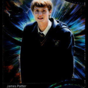 Harry Potter AHP_B | James Potter | AHP-B-41 | Near Mint