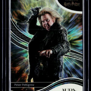 Harry Potter | Peter Pettigrew | AHP-I-59 | Near Mint