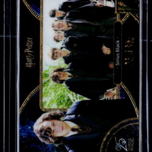 Harry Potter | Sirius Black | AHP-ACE-13 | 103/525 | Near Mint