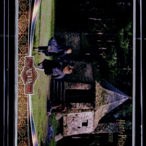 Harry Potter | Hagrids Hut | AHP-BS-08 | Near Mint