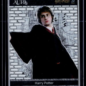 Harry Potter | Harry Potter | AHP-ML-02 | Near Mint