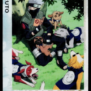 Kayou Naruto Jin 2 | NRSA02-PTR-004L3 | Kakashi Hatake / Pakkun