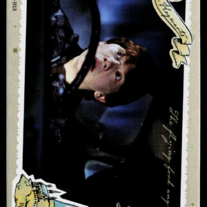 Kayou Harry Potter T2W1 Owl Post 13 WW-B01-N13