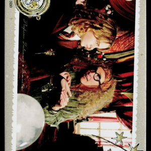 Kayou Harry Potter T2W1 Owl Post 30 WW-B01-N30