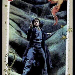 Kayou Harry Potter T2W1 Owl Post 22 WW-B01-N22
