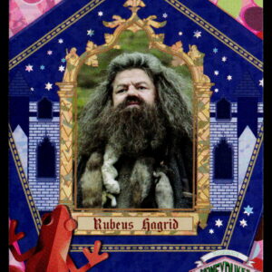Kayou Harry Potter T2W1 Rubeus Hagrid WW-B01-R07