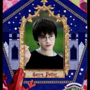 Kayou Harry Potter T2W1 Harry Potter WW-B01-R01