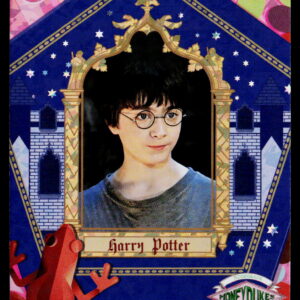 Kayou Harry Potter T2W1 Harry Potter WW-B01-R04