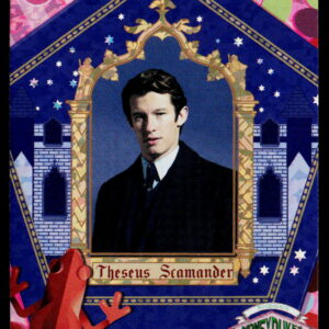 Kayou Harry Potter T2W1 Theseus Scamander WW-B01-R20