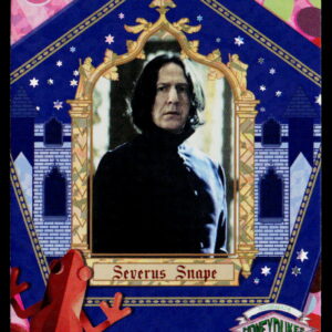 Kayou Harry Potter T2W1 Severus Snape WW-B01-R15