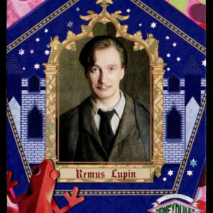Kayou Harry Potter T2W1 Remus Lupin WW-B01-R10
