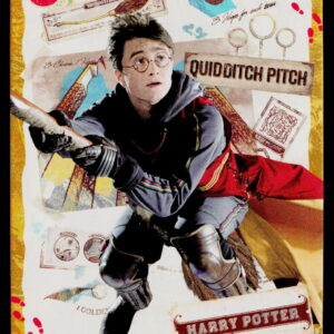Kayou Harry Potter T2W1 Harry Potter WW-B01-SR03