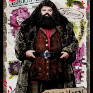 Kayou Harry Potter T2W1 Rubeus Hagrid WW-B01-SR07