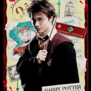 Kayou Harry Potter T2W1 Harry Potter WW-B01-SR05