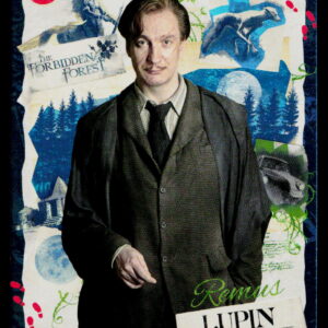 Kayou Harry Potter T2W1 Remus Lupin WW-B01-SR11