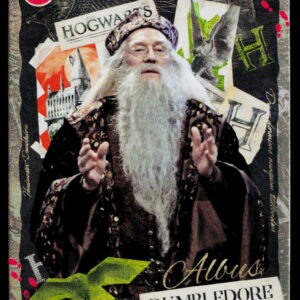 Kayou Harry Potter T2W1 Albus Dumbledore WW-B01-SR01