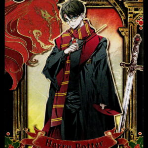 Kayou Harry Potter T2W1 Harry Potter WW-B01-UTR01