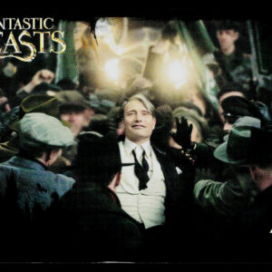 Kayou Harry Potter Eternal SEA English Gellert Grindelwald HP-N03-027 N