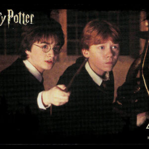 Kayou Harry Potter Eternal SEA English Harry Potter & Ron Weasley HP-N03-036 N