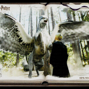 Kayou Harry Potter Eternal 2 English Buckbeak & Draco Malfoy HPX-N04-033L1 N