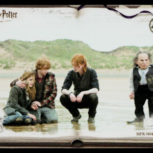 Kayou Harry Potter Eternal 2 English Hermione Granger, Ron Weasl HPX-N04-038L1 N