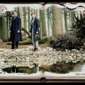 Kayou Harry Potter Eternal 2 English Theseus Scamander & Newt Sc HPX-N04-050L1 N