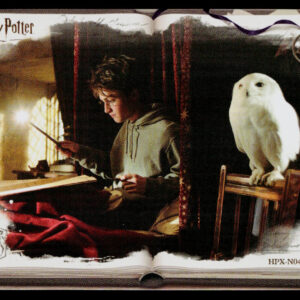 Kayou Harry Potter Eternal 2 English Harry Potter & Hedwig HPX-N04-018L1 N