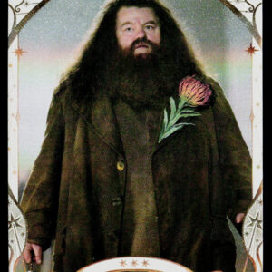 Kayou Harry Potter Eternal 2 English Rubeus Hagrid HPX-R-007L1 R