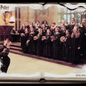 Kayou Harry Potter | HPX-N04-016L1 | Filius Flitwick & Hogwarts Frog Choir | Eternal Edition Series 2 SEA