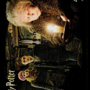 Kayou Harry Potter E | Harry Potter, Ron Weasley & Hermione Granger | HP-N03-048