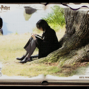 Kayou Harry Potter Ete | Hogwarts student reading beneath a tree | HPX-N04-026L1