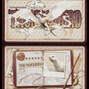 Kayou Harry Potter Eternal Edition Series 2 SEA | Thunderbird | HPX-SGR-010L4